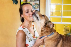 Healthy Pawsibilities | Clearwater Holistic Vet Near Me | America's