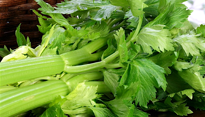 Special Ingredient Saturday – Celeryca