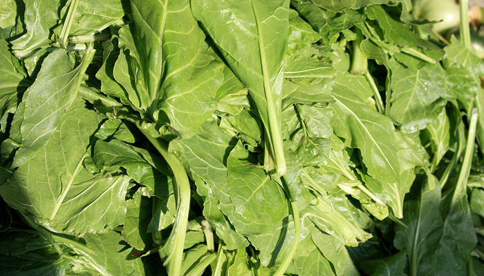Special Ingredient Saturday – Spinach