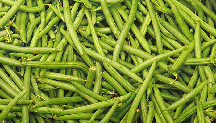 Special Ingredient Saturday – Green Beans