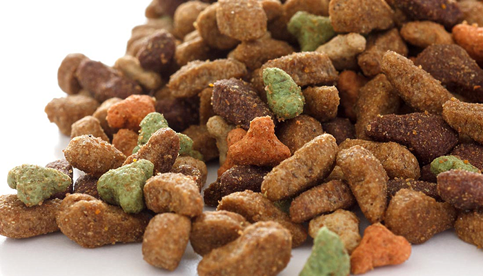 What are the Dangers of Kibble?