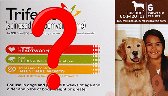 I’ve Been Hearing a Lot of Stories & Seeing Things on the Internet About Trifexis. Is Trifexis Safe for my Dog?
